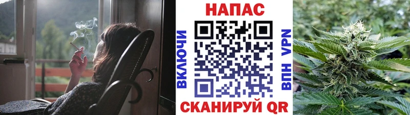 Наркошоп Георгиевск Alpha PVP COCAIN Гашиш Псилоцибиновые грибы Конопля Мефедрон