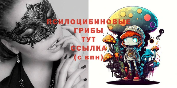дмт Армянск