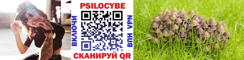 Галлюциногенные грибы мицелий  Георгиевск 